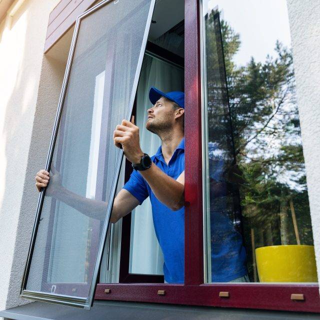 Man,Installing,Insect,Mesh,Screen,On,Window,To,Protect,Room